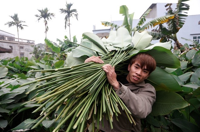 La dong goi banh chung 100.000 dong/bo van khan hang hinh anh