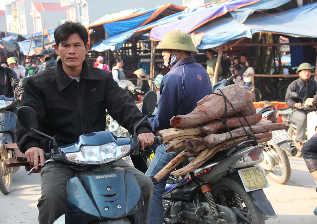 Cho go trac vun doc dao tai Bac Ninh hinh anh