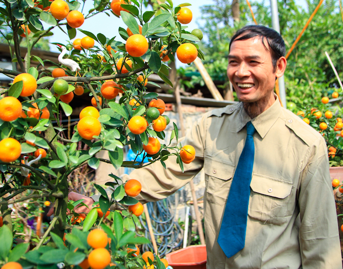 Trong quat bonsai thu 400 trieu dong/vu o Ha Noi hinh anh