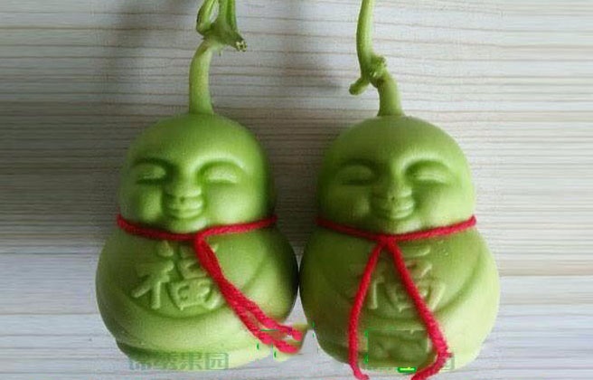 Nua trieu dong mot cap qua giong nhan sam trong Tay Du Ky hinh anh