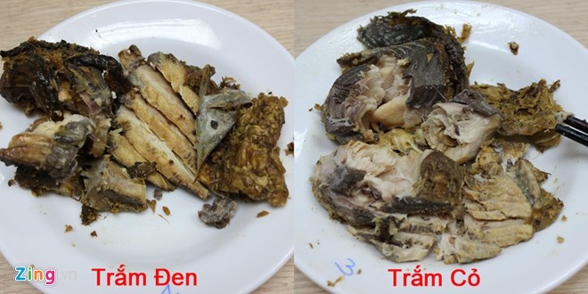 Miếng cá kho trắm đen khi gắp ra các thớ thịt tách rời, rõ ràng trong khi cá trắm cỏ dính vào nhau, thịt bở, thớ không tách rời. Ảnh: Ngọc Lan.