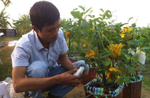 Phat thu 'doc' cua nong dan Hoai Duc hinh anh