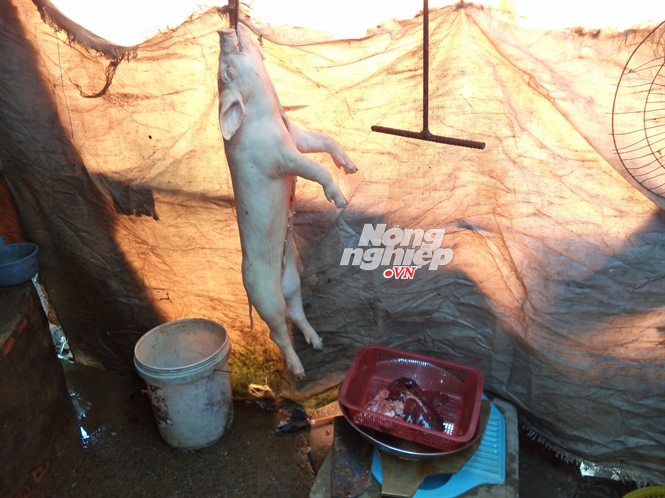 Heo chet + pham mau + huong lieu Trung Quoc = Heo quay ban hinh anh