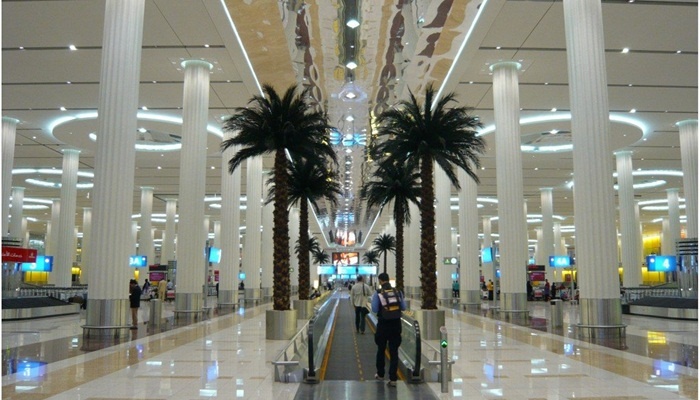 Những cây cọ tô điểm thêm nét sinh động cho khu vực xác nhận hành lý