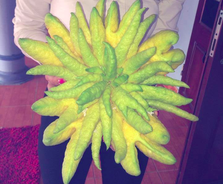 3 trieu dong/cap phat thu doc chung Tet hinh anh