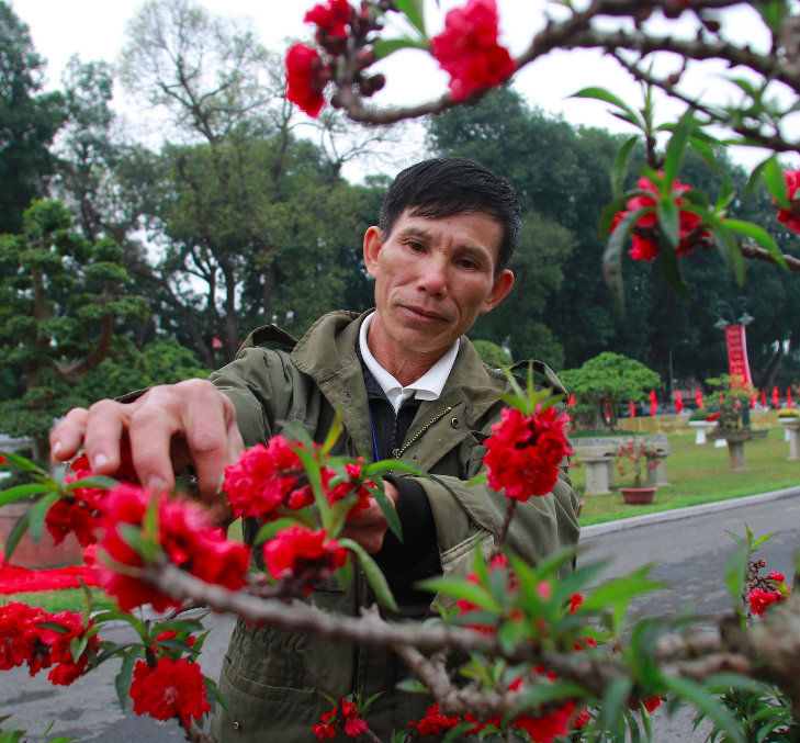 Lao nong Lang Son thu tram trieu tu trong dao tien vua hinh anh