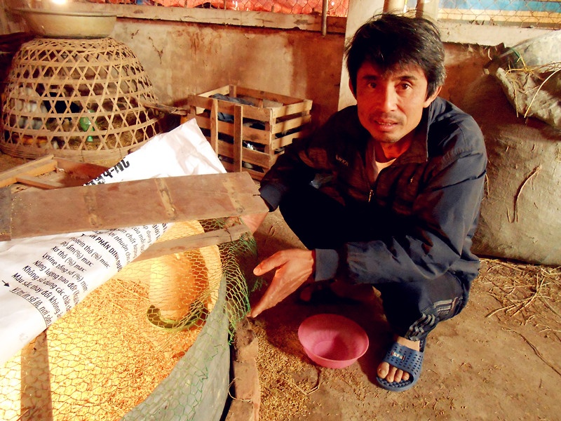 Lao nong Ha thanh lam giau tu nhung y tuong khong giong ai hinh anh