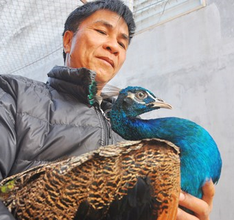 Vi sao nuoi cong cho thu loi cao? hinh anh