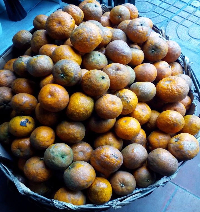 Kiem hon 1 trieu moi ngay nho cam Ha Giang cuoi vu hinh anh