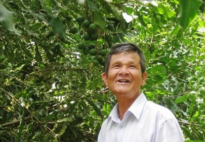 Ông Lê Đức Ba trong khu vườn mắc ca rộng 0,7ha.