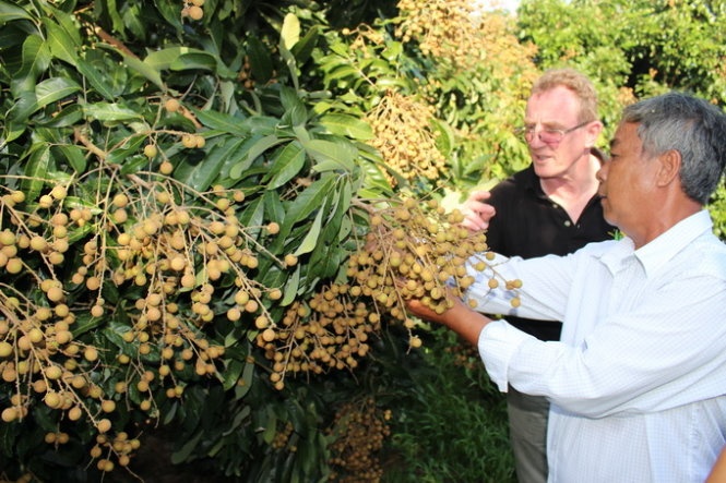 Tim dau ra cho trai cay: Cua mo nhung van kho vao hinh anh