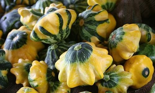 Hat bi hinh dia bay hut khach mua he hinh anh