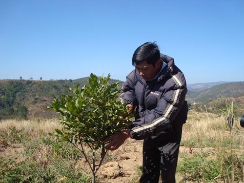 'Vua' mac ca kiet que hinh anh