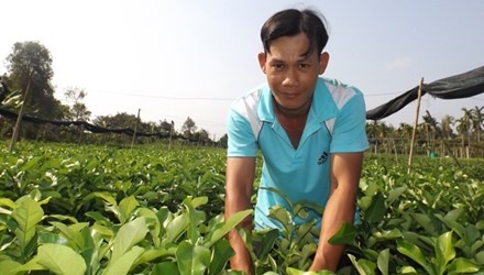 Ty phu chanh khong hat mien Tay hinh anh