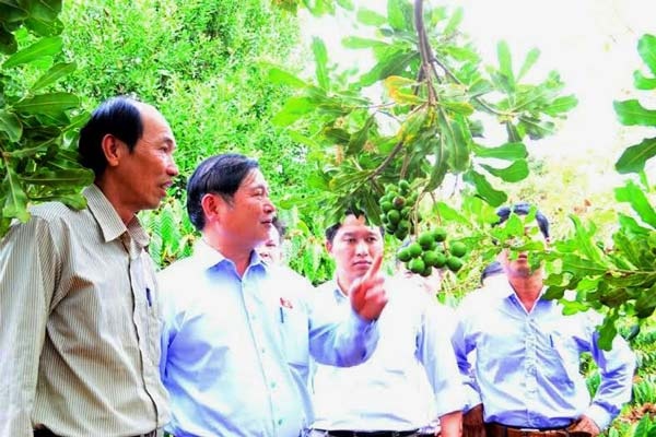 Hoc My trong mac ca: Lac quan dung quen can trong hinh anh