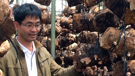 Xay dung thuong hieu Viet cho nhung loai nam quy hinh anh