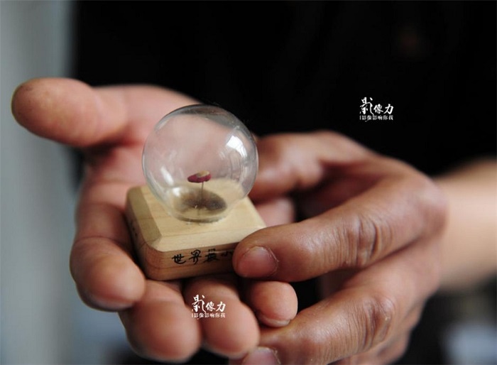 Tác phẩm giày da nhỏ nhất cho tới thời điểm này của nghệ nhân Peng là một chiếc giày chỉ dài có 8mm. Ông mất hơn mười ngày trời mới làm ra được chiếc giày này.