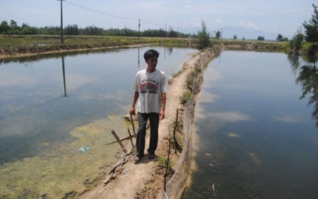 Tom, ca chet hang loat, nong dan lam canh no nan hinh anh