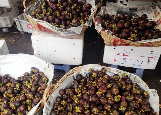 Khong du mang cut ban, nha vuon tiec nuoi hinh anh