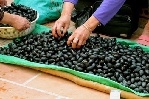 Trong tram den trong rung, lam choi thu tram trieu hinh anh