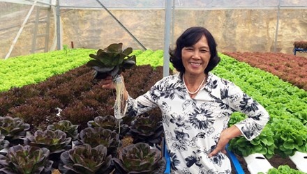 Kiem bon tien tu rau qua la hinh anh