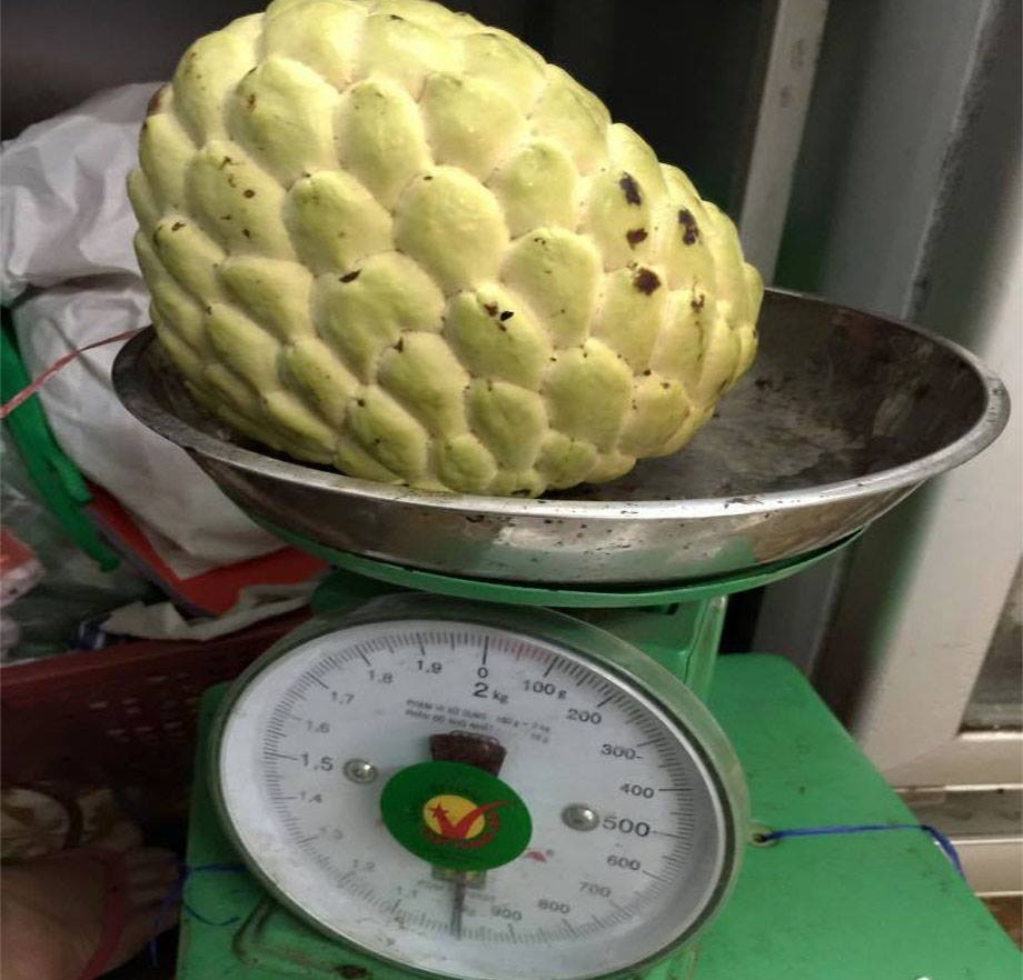 Gia dat gap 3 lan, na Thai 1 kg van duoc tim mua hinh anh