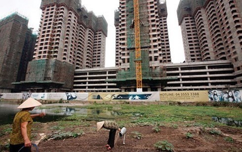 Chuyen doanh nghiep chay i thue cua Viet Nam len bao Tay hinh anh