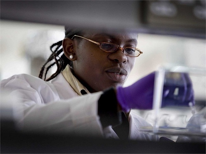 Nhà khoa học vật liệu - Mức lương trung bình năm: <abbr class=