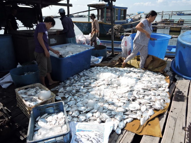 ​Ngu dan dem ca chet do truoc cong nha may hinh anh