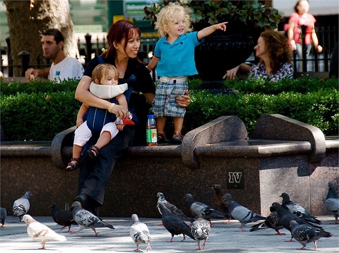 Phia sau muc song dat do o New York hinh anh