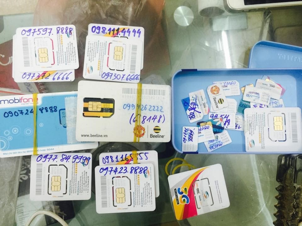 Mua sim tu, ngu quy chiu lai 36% mot nam hinh anh