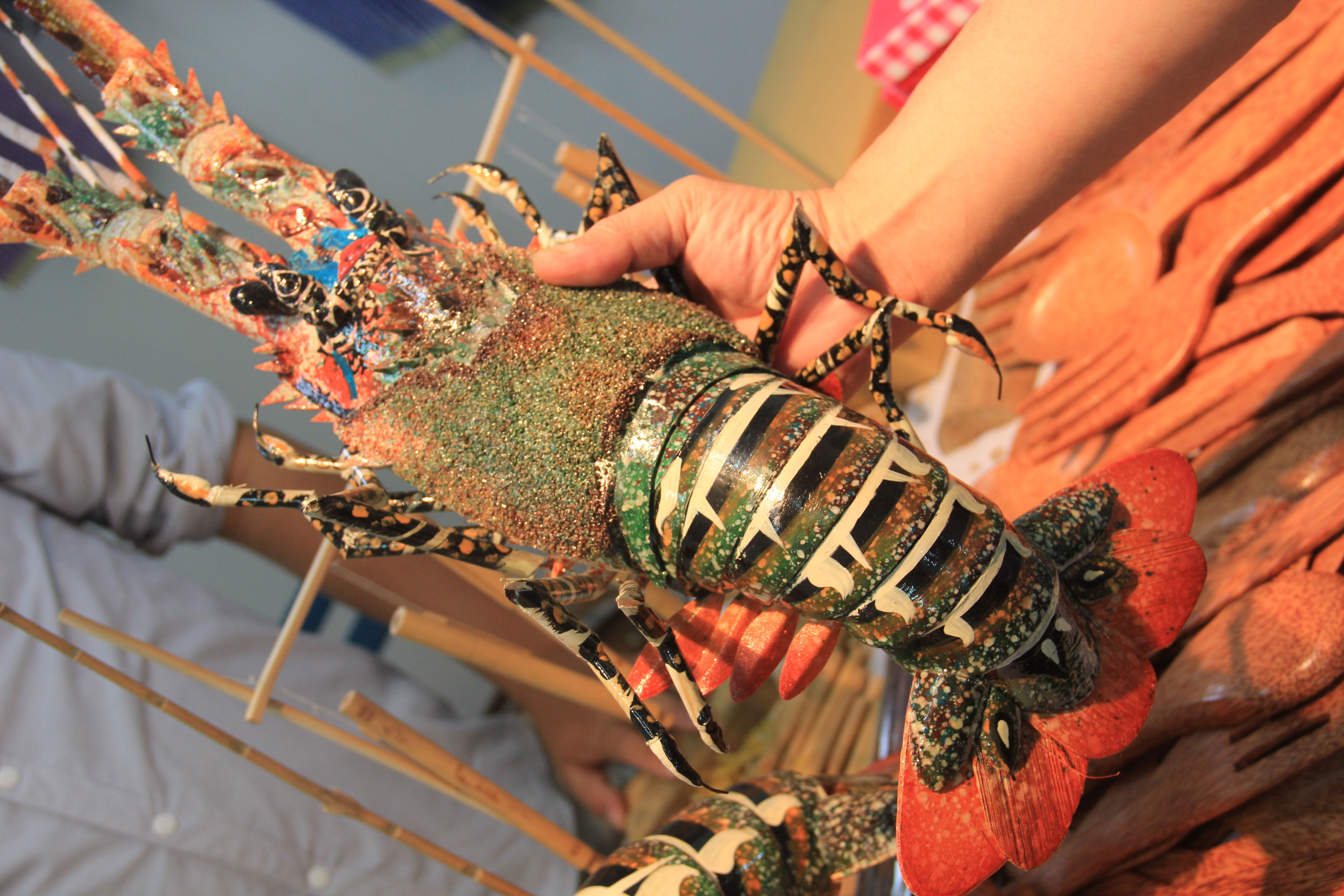 1 trieu dong mot con tom hum tre dai 1 m, nang 2 kg hinh anh