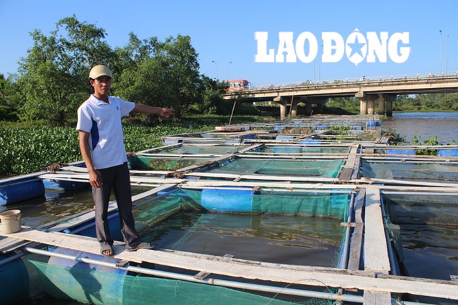 Gan tram ho dan Ha Tinh nuoi ca long thiet hai tien ty hinh anh