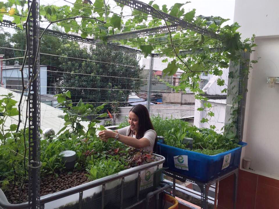 Mo hinh trong rau, nuoi ca tai nha khong can cham soc hinh anh