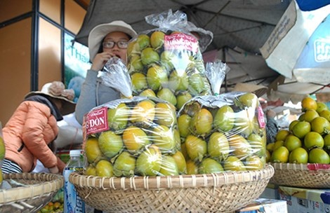 Hong Trung Quoc ‘giet’ hong Da Lat hinh anh