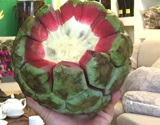 Vi sao qua na rung 5 kg co gia 500.000 dong? hinh anh