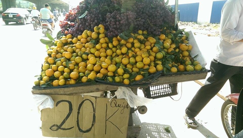 Quyt Trung Quoc re bang 1/4 quyt Viet do bo Ha Noi hinh anh