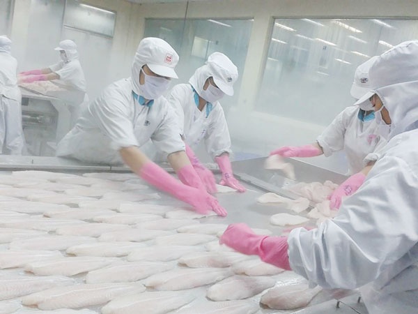 Hang nong, thuy san xuat khau bi tra ve: Di dau? hinh anh