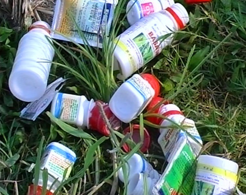 Phun thuoc cuc doc, thuoc gia len rau ngay cang pho bien hinh anh