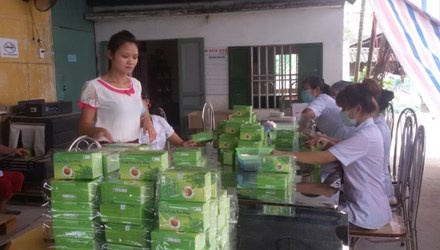 Cay duoc lieu cho 4 ty dong mot nam hinh anh