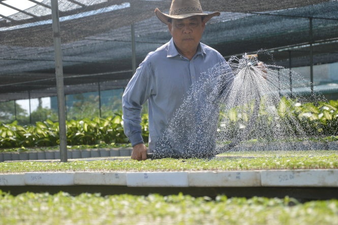 Hoa kieng Tet: Khong con manh ai nay lam hinh anh