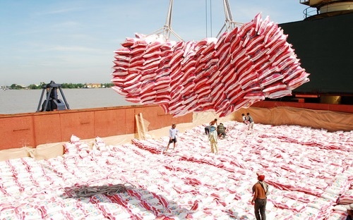 200 doanh nhan hang dau Indonesia den Viet Nam hinh anh