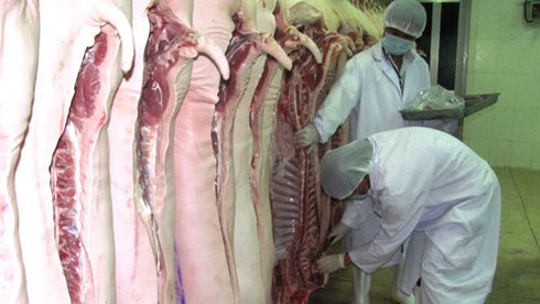 ​Phat hien them 11 trai heo co su dung chat cam hinh anh