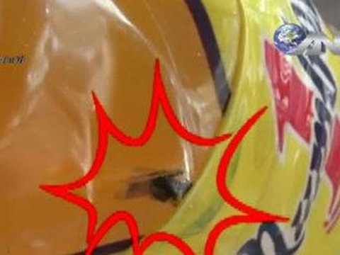 Bai hoc xu ly khung hoang tu chuyen 'con ruoi' hinh anh