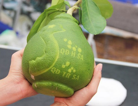 Nhung loai qua dac biet dip Tet Binh Than hinh anh