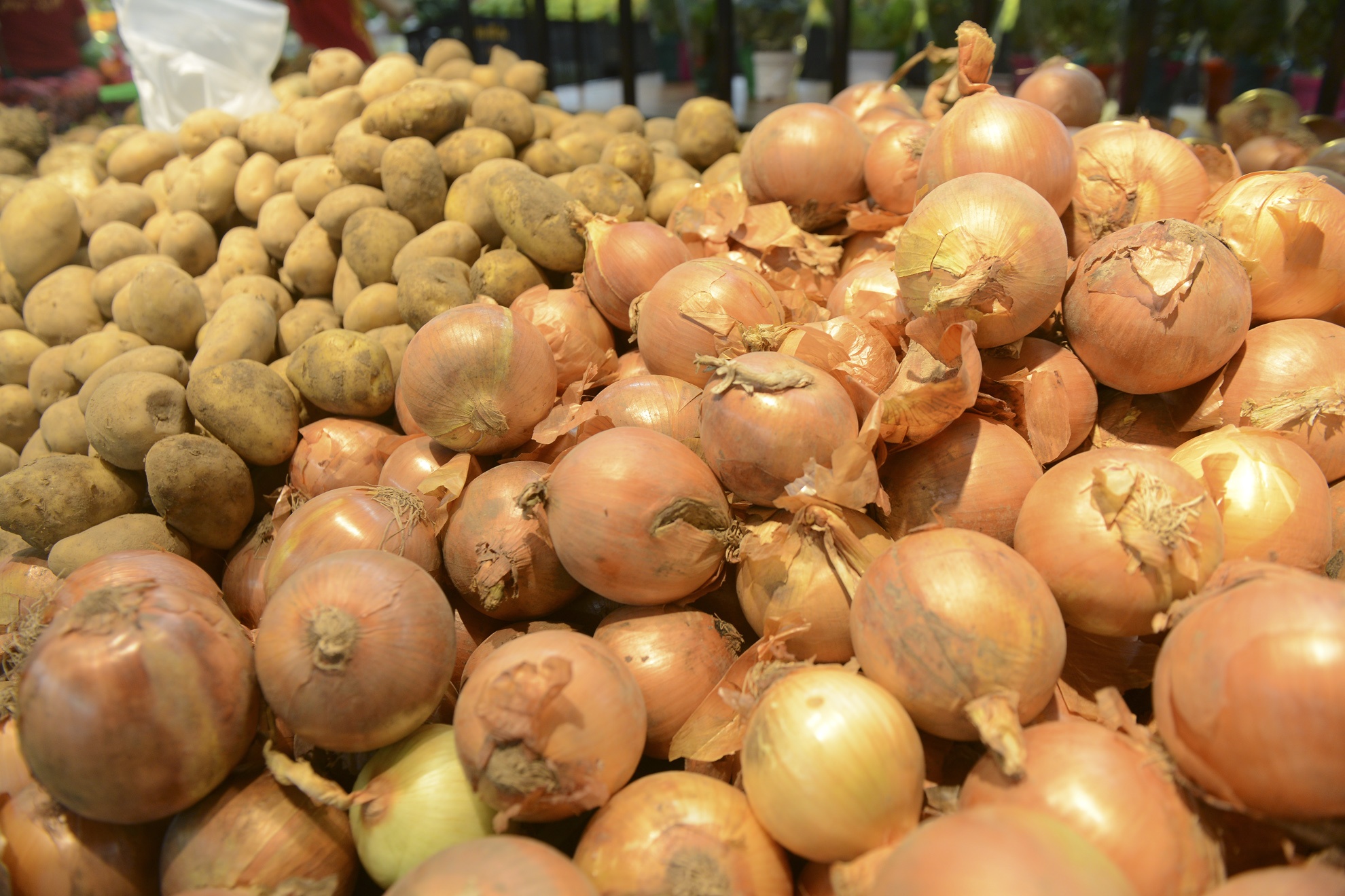 Hang kho se tang gia vao dip Tet hinh anh