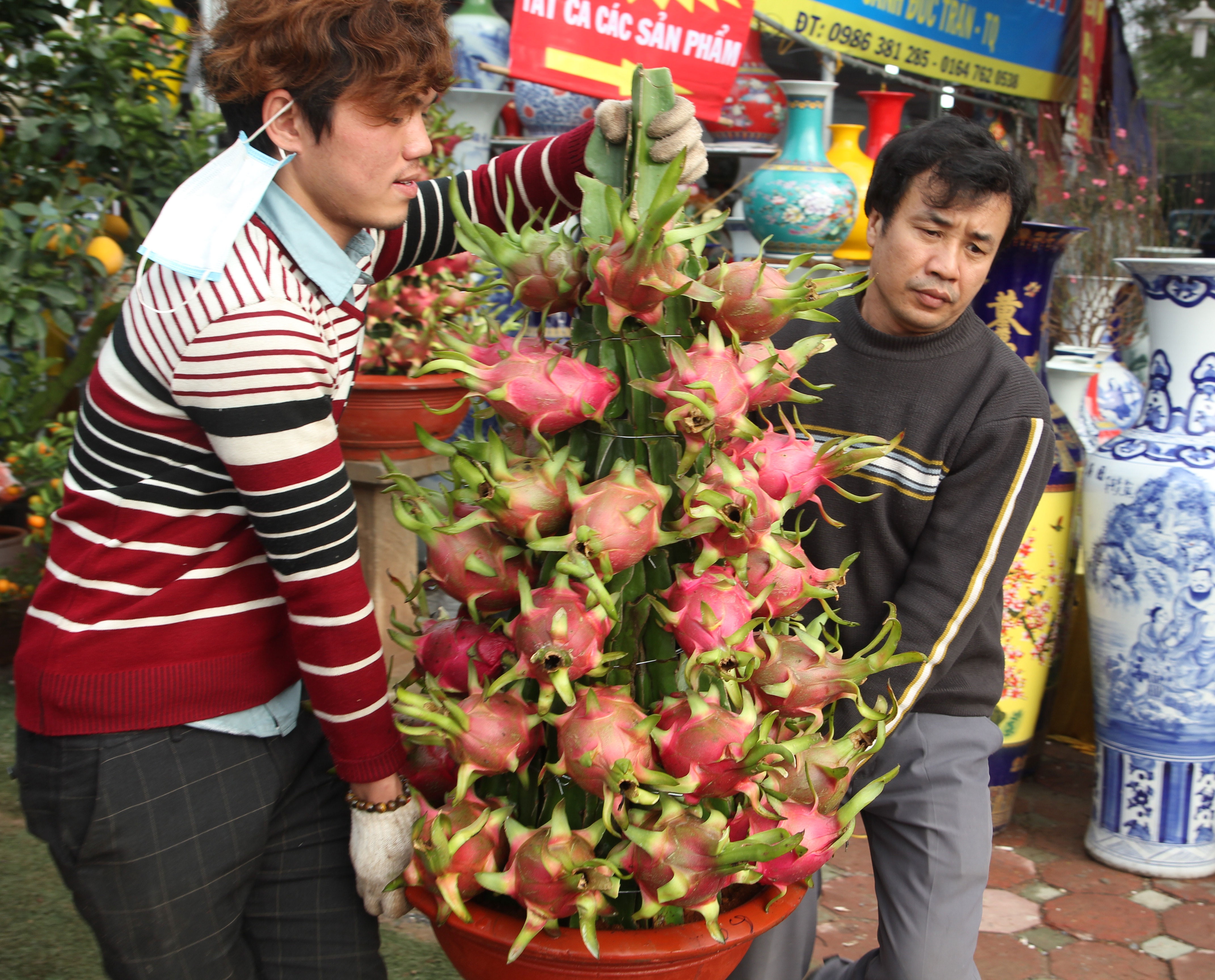 Chau thanh long phat loc ban gia 80.000 dong moi qua hinh anh