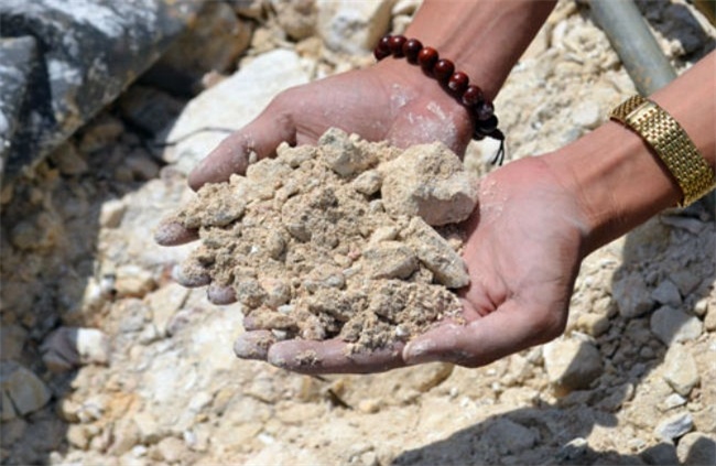 Cho phep nhap khau dat ve Viet Nam hinh anh