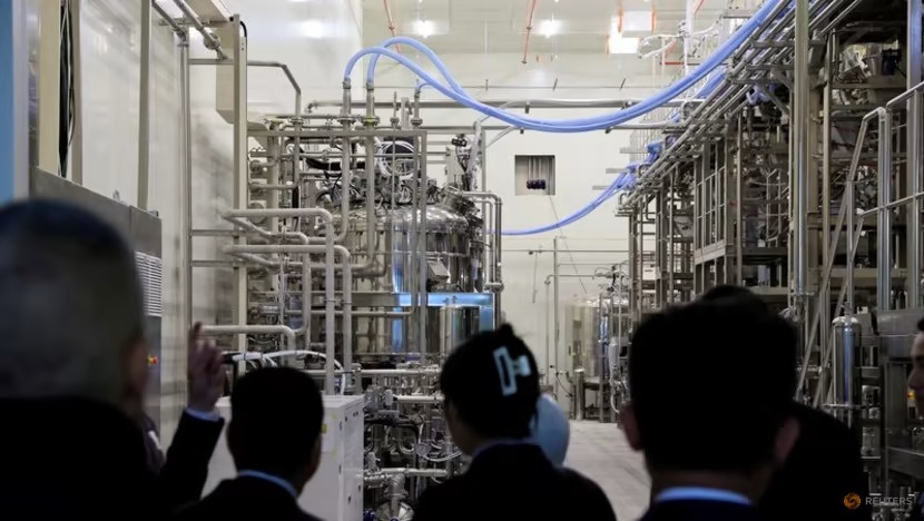 Phap trai tham do anh 2