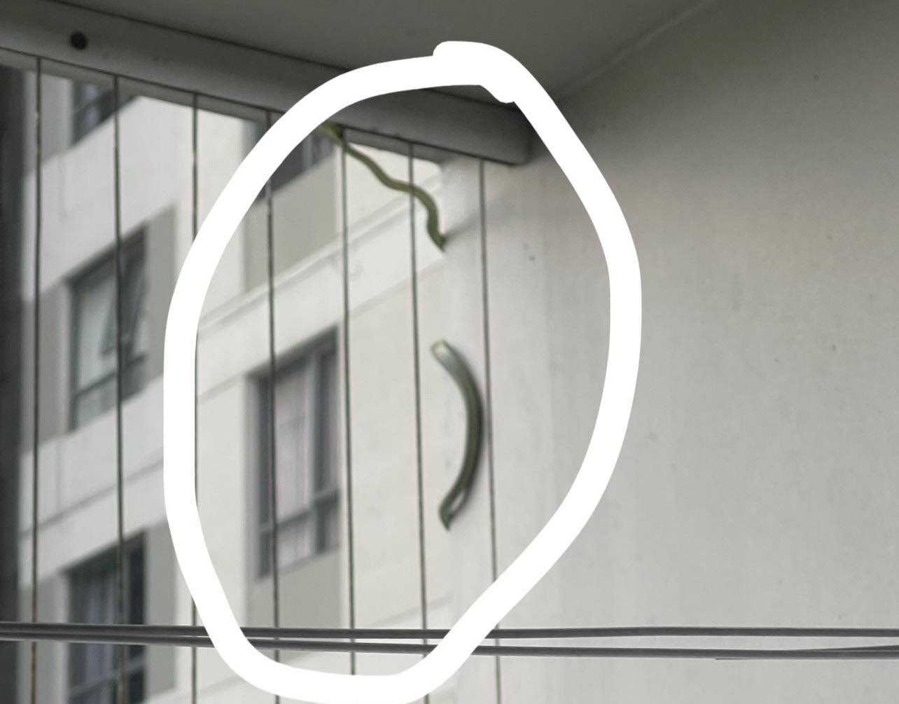 ran o chung cu masteri thao dien anh 2